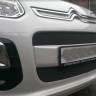 Защита радиатора "Standart" Citroen C3 Picasso (2012-2016) чёрная купить недорого с доставкой в Красноярск